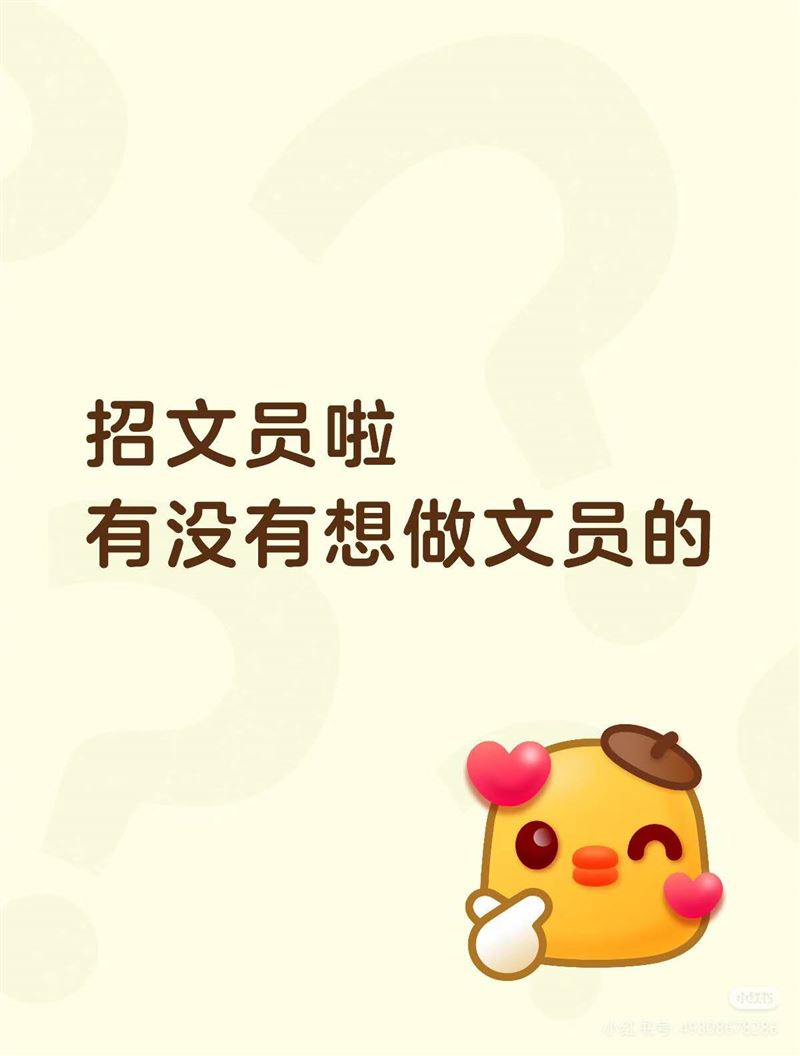 招文员工资待遇好